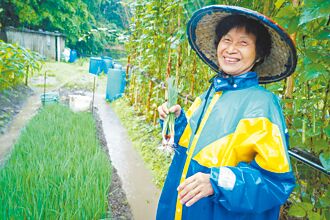 平溪珠蔥媽媽胡陳偏 種出家的滋味