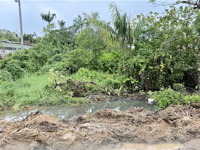 對於為何不在球場淺短草皮區域施工？高市水利局說，球場地勢自西向東傾斜，短草皮區地勢較高，另短草根本無法有效蓄水，為防範超大型雨勢侵襲，並不適合在短草皮施作滯洪沉砂池。（紀爰攝）