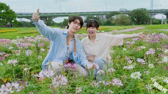 新北河濱蝶戀季 日夜也都可以拍美景賞景