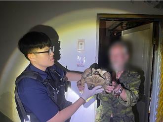 桃園妹帶象龜散步突不翼而飛    老翁「順手牽龜」被逮喊：是我的