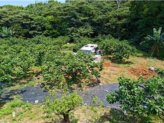 開車找帽子釀禍！女駕駛林口誤撞分隔島滑落邊坡　2人送醫