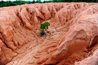留談判籌碼 陸緊盯戰略礦產出口