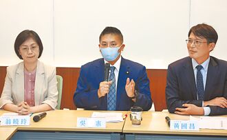 藍委批大法官綠師 為綠圍事