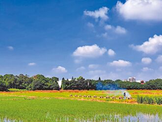 中壢休閒農業區增特色 拚轉型