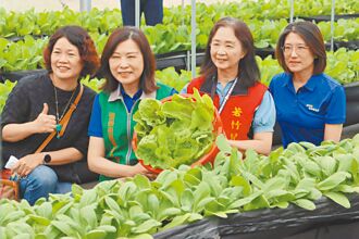 嘉縣 若竹兒獲贈300萬 開闢愛菜園