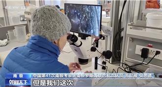 涉及海冰研究、海洋生物等  陆南极科考有新发现