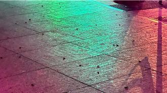 影》群蟑亂舞！台東國際地標燈光秀變「蟑螂秀」遊客驚逃喊救命