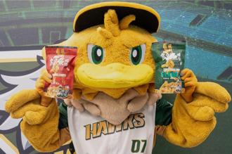 台鋼雄鷹舉辦「南人祭」 攜手魚饌食推出聯名商品