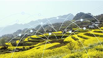 陸強化汛期農業防災減災  夯實糧食和農業豐收基礎