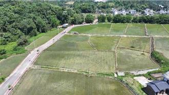 氣候骨牌效應：聖嬰現象致東南亞害蟲跨境威脅陸糧食安全