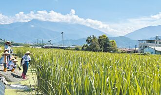 埔里反水源地設掩埋場5／18誓師