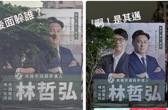 為子弟兵「政治插隊」修樹？ 陳其邁：非法看板立即拆除
