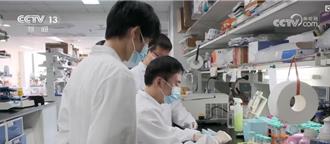 破解腸道免疫密碼！陸揭APOL9蛋白作用 有望開發口服疫苗