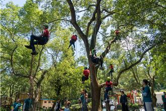 盲校學童體驗攀樹 驚呼聲不斷 感受自然生命力