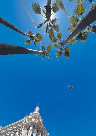 魔幻坎城 穿越紅毯的輕旅程