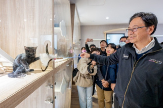 桃園寵物友善公園全台最多 毛孩小孩放電首選