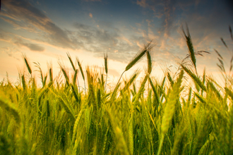 小滿6禁忌千萬別犯 做1事恐破財整年