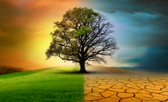 打破山区灭绝电梯假说！台湾研究登《科学》