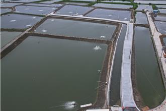 興達養殖區湖內排水改善 獲獎肯定 提升漁業環境