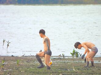 五股溼地移工捕蟹 干擾候鳥群