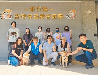 開車丟包16柴犬 車主挨罰41.5萬