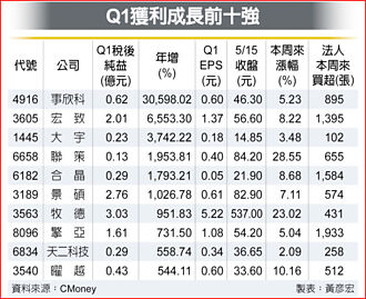 獲利成長前十強 法人愛
