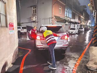 桃園巡守隊編制過大 議員促分拆