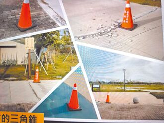 嘉市 湖子內公園缺失多 限期改善