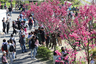 國旅太慘！連假訂房率「蓋牌」破6成縣市才公布