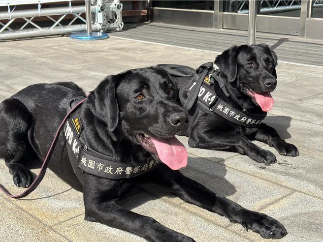 桃园汪汪队帅气出任务，助龟山警护世壮运射击赛。(翻摄照片／蔡依珍桃园传真)