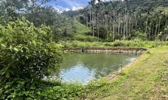 男童跟爷爷外出访友 鱼池旁玩耍人却不见！被救起已溺毙