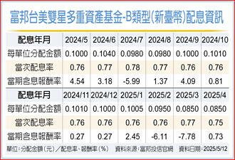富邦台美雙星基金 靈活資產配置