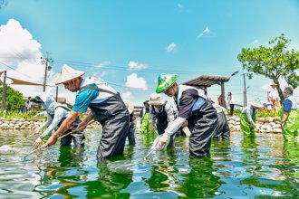 信义共行2》 信义房屋志工赴蓁巷社区 挽袖清生态池、铺石砖步道