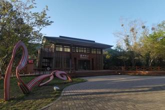 拉拉山巨木音樂會盛大開幕！徜徉森林聽音樂 享受芬多精洗禮