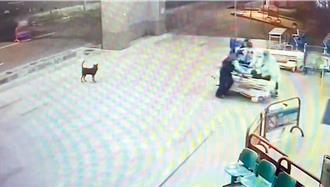 槍殺台南角頭「囝仔昌」外甥後丟包醫院    槍手二審仍判23年