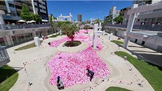 台南河樂廣場粉紅球池遭嘲像福壽螺卵 觀旅局駁斥喊卡謠言