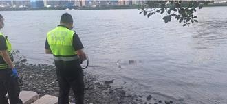 八里河岸驚見女浮屍  警初判無外力介入