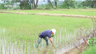 請客吃飯  免費講座  送貨上門 陸「化肥忽悠團」屢屢得手