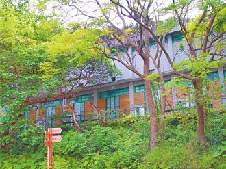 芝山岩惠濟宮的兩難