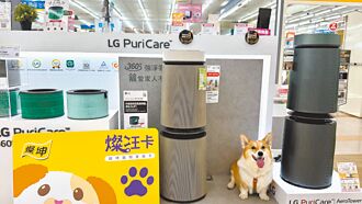 灿坤3C宠物卡 抽整单免费