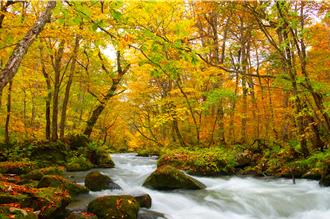 長汎假期參展台北TTE旅展 推暑假前最後一波促銷