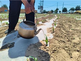 「烤」驗警報！陸華北持續高溫乾旱 多地飆破攝氏40度