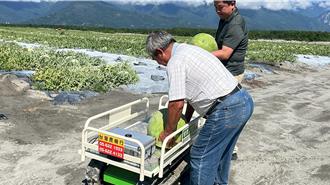 AI採瓜！東華大學研發西瓜自走採收車 載運、監測一把罩