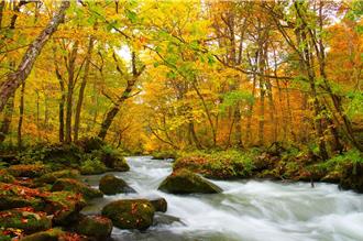 台北旅展周末登場 長榮多行程優惠 最高現折萬元