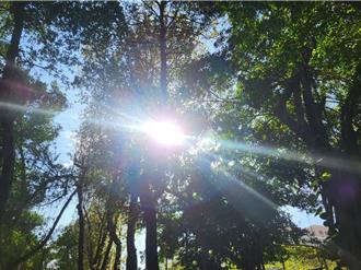 小满湿热夹击！中医推荐健脾利湿这样吃 特定族群别洗冷水澡