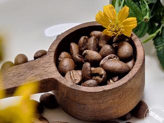 2025南投巧克力咖啡節 「啡來不可」！