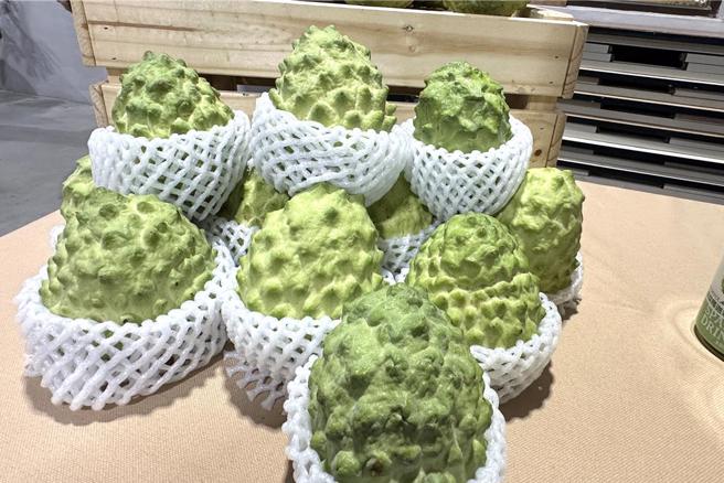 因應美國關稅衝擊，農業部爭取降稅：藉此調整全球市場布局。圖為台東鳳梨釋迦。（示意圖／本報資料照）