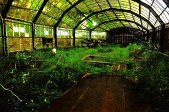 【東京3大賞螢名所之三】多摩川「源氏螢」復育有成，福生螢火蟲祭熱鬧繽紛！