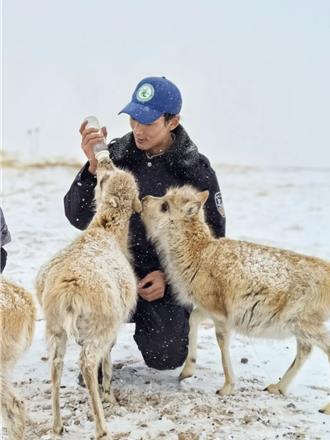 生態喜訊！陸200多種珍稀瀕危野生動物恢復性增長