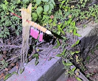 台南農民夜間放炮驅鳥擾民   警半夜田中尋聲源開罰